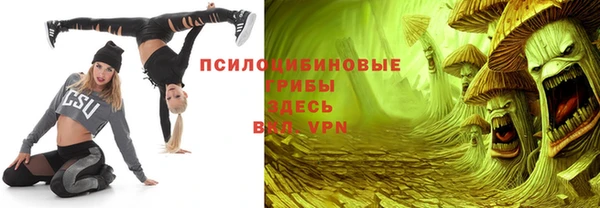 марки nbome Белокуриха