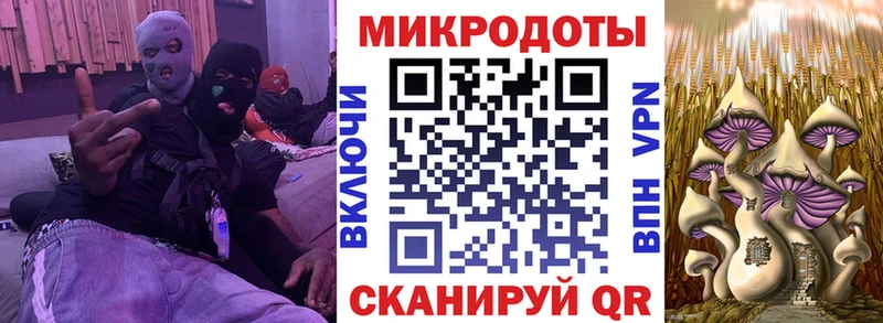Галлюциногенные грибы Psilocybine cubensis  Киржач 