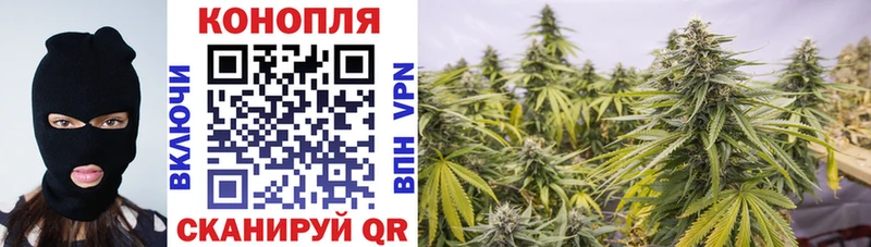 магазин продажи наркотиков  это как зайти  Шишки марихуана тримм  Киржач 